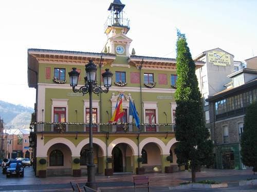 ayuntamiento-langreo-7034020.jpg